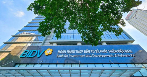 Sắc xuân về với cổ phiếu ngân hàng nhóm Big 3