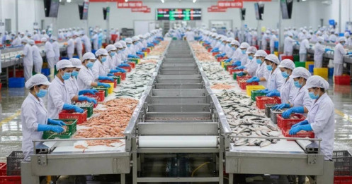 Doanh nghiệp thuỷ sản "xoay trục"