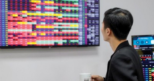 Bài viết HAY của chuyên gia