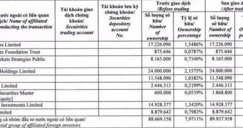 Đất Xanh (DXG): Dragon Capital gia tăng sở hữu và lộ trình bứt phá trong chu kỳ 2026