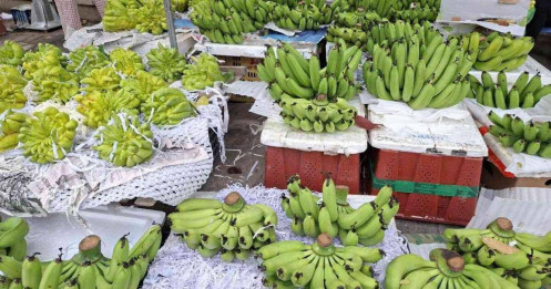 Giá chuối xanh ở Hà Nội lên đến 1 triệu đồng một nải