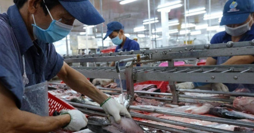 Thấy gì từ kỷ lục xuất khẩu thủy sản 11 tỷ USD?