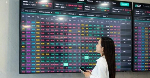 Xuân mới, mở cửa đón dòng vốn lớn