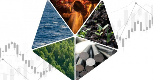 Đếm ngược phiên giao dịch đầu năm, BSC gợi ý các cổ phiếu theo phong thuỷ ngũ hành năm 2026