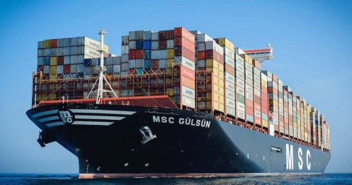 Ngành vận tải biển toàn cầu vẫn kiên định đầu tư xanh