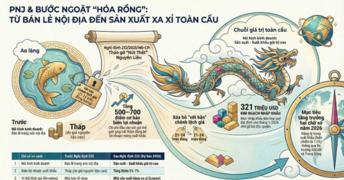 Từ "Nút thắt" Độc quyền đến Bước ngoặt Lịch sử: Cuộc "Tái định vị" của PNJ trong Chu kỳ mới