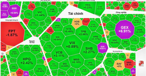 Tổng hợp thị trường phiên giao dịch ngày 23/02/2026