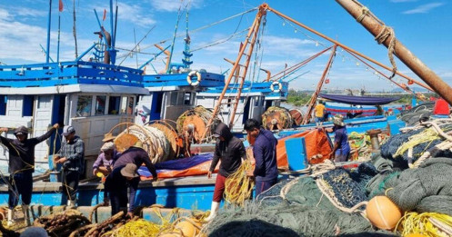 Thủy sản cuối 2025: Niềm vui không trọn vẹn