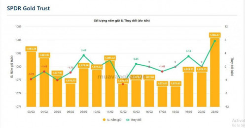 Cá mập gom gần 8 tấn vàng chỉ trong một ngày