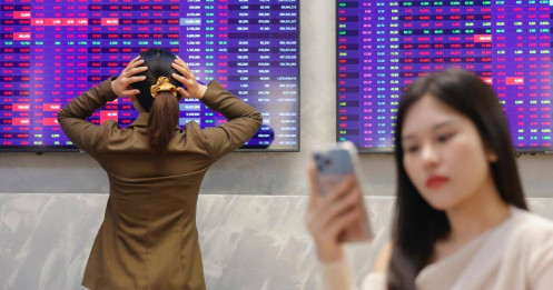 Nghịch lý VN-Index: Khi chỉ số là "ánh trăng lừa dối"