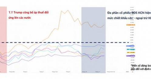 Bất Động Sản Khu Công Nghiệp: Khi "Nỗi Sợ Thuế Quan" Tạo Ra Cơ Hội Vàng