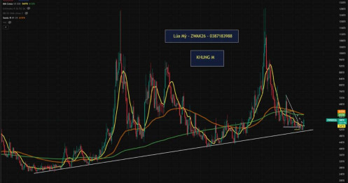 Lúa mì về vùng giá chiến lược, cơ hội tích lũy trung hạn dần mở ra