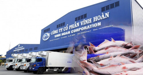 VHC - Yếu tố phục hồi đã phát tín hiệu trong kết quả kinh doanh tháng 1/2026