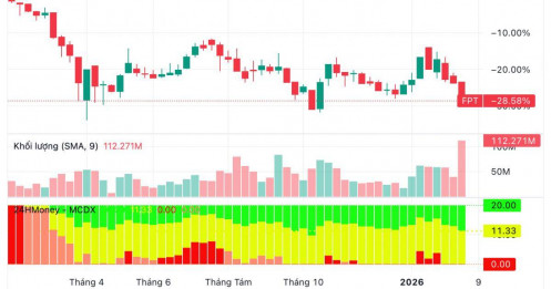 Từ kín room đến dư hơn 200 triệu cổ phiếu: Điều gì đang xảy ra với FPT?