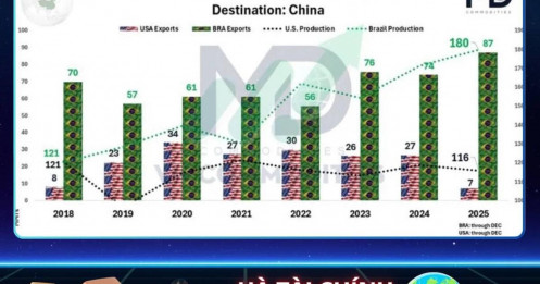 Cấu trúc lại cán cân thương mại đậu tương Mỹ – Trung: Brazil đang chiếm lĩnh thị phần chiến lược