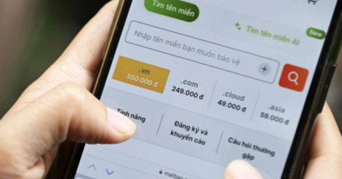 Việt Nam lần đầu đấu giá tên miền '.vn'