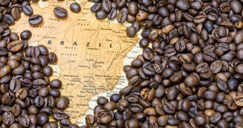 Thị trường cà phê tuần 23 - 27/2: Brazil siết truy xuất nguồn gốc, sản lượng 2026 hướng kỷ lục mới