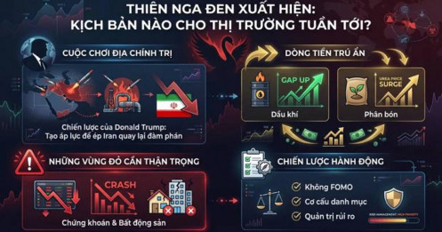 Thiên nga đen xuất hiện - Kịch bản nào cho thị trường tuần tới?