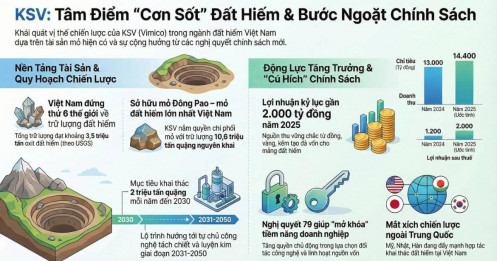 Bài viết HAY của chuyên gia