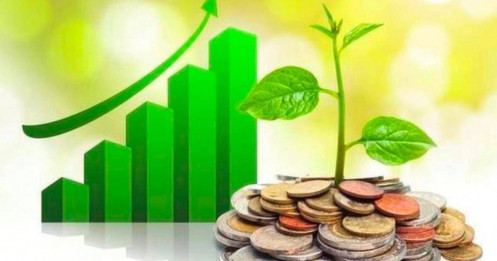 Lịch chốt quyền cổ tức tuần 2/3– 6/3: Cổ tức tiền mặt cao nhất 100%