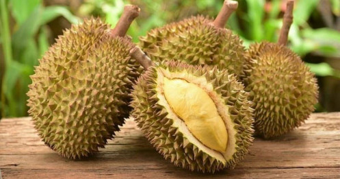 Giá sầu riêng Musang King giảm mạnh trong năm 2026 , cơ hội cho nông dân