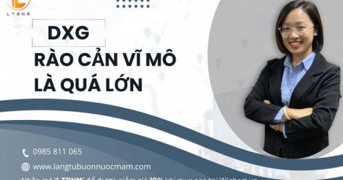 Bài viết HAY của chuyên gia