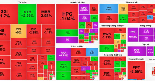 Bài viết HAY của chuyên gia