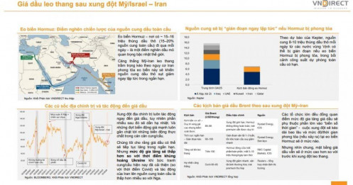 Căng thẳng Mỹ-Iran khiến dòng tiền dịch chuyển: Đây là tài sản được VNDIRECT đặt cược