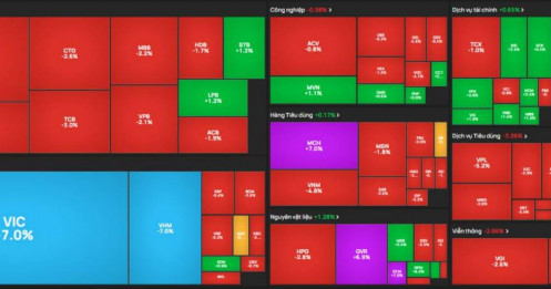 Bài viết HAY của chuyên gia