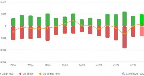 Bài viết HAY của chuyên gia