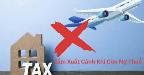 Danh sách 20 cá nhân bị tạm hoãn xuất cảnh vì nợ thuế