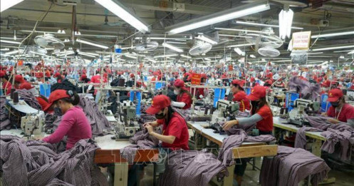 Bài viết HAY của chuyên gia