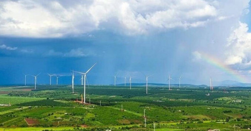 Thành viên Vingroup làm nhà máy điện gió gần 4.700 tỷ đồng tại Gia Lai
