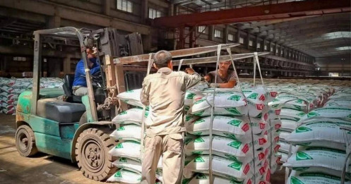 Đừng để bị cuốn vào cơn lốc cổ phiếu hàng hóa