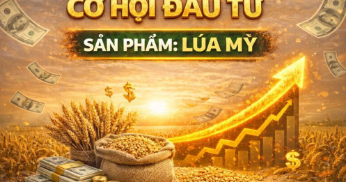 Dòng tiền đang dần rời khỏi bạc – một con sóng lớn khác đang hình thành