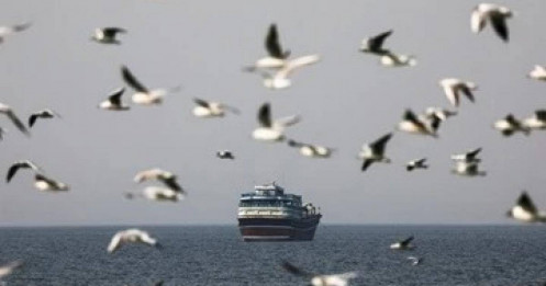 Hộ tống tàu dầu: Bước đi răn đe của Washington hay canh bạc địa chính trị?