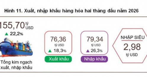 Việt Nam nhập siêu gần 3 tỷ USD trong hai tháng đầu năm 2026