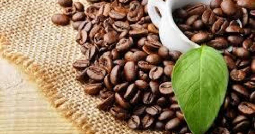 Bản Tin Nhóm Nguyên Liệu Công Nghiệp Ngày 06/03/2026