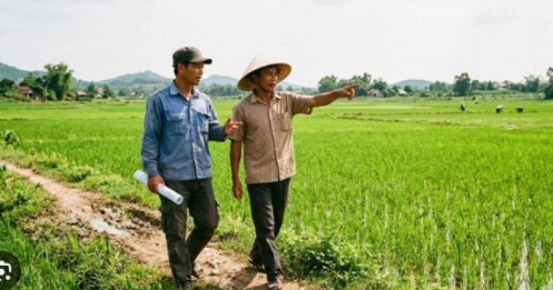 Mua 3.000 m2 đất giá gần một tỷ nhưng cho thuê 7,5 triệu đồng một năm