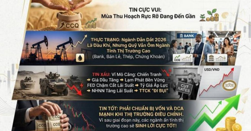 2026: "Cơn đau" Ngắn Hạn Và Cơ Hội Gieo Hạt Cho Mùa Thu Hoạch Rực Rỡ