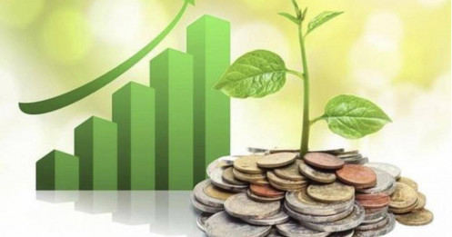 5 doanh nghiệp trả cổ tức bằng tiền mặt, mức cao nhất là 25%