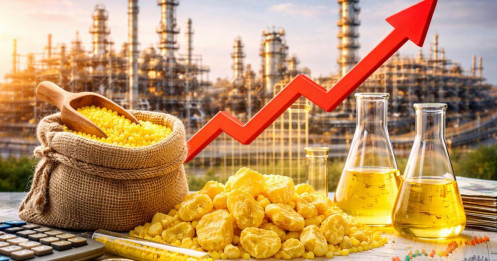 Trump kích hoạt đạo luật chiến lược, giá phốt pho vàng bùng nổ: DGC hưởng lợi lớn?