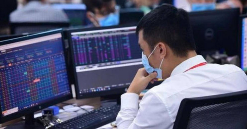 Chứng khoán Việt đã đủ rẻ để bắt đáy?