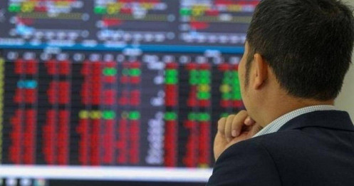Nhóm cổ phiếu nào là "vịnh tránh bão" khi VN-Index tìm đáy?