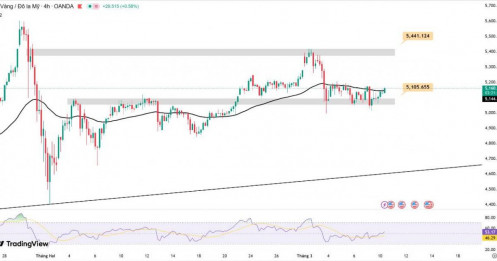 Giá vàng hôm nay ngày 10/03/2026