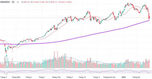 Nỗ lực cân bằng và phục hồi có chọn lọc - 3 cơ hội bắt đáy hấp dẫn cho nhà đầu tư?