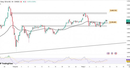 Giá vàng hôm nay ngày 11/03/2026