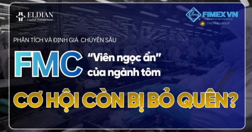 FMC - “Viên ngọc ẩn” của ngành tôm – Cơ hội còn bị thị trường bỏ quên?