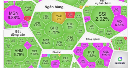 VN-Index “tái sinh” ngoạn mục, vượt 1.700 điểm: Cổ phiếu tím trần phủ kín bảng điện