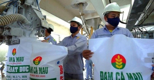 DCM: "Cú hích" từ ba trụ cột kinh doanh